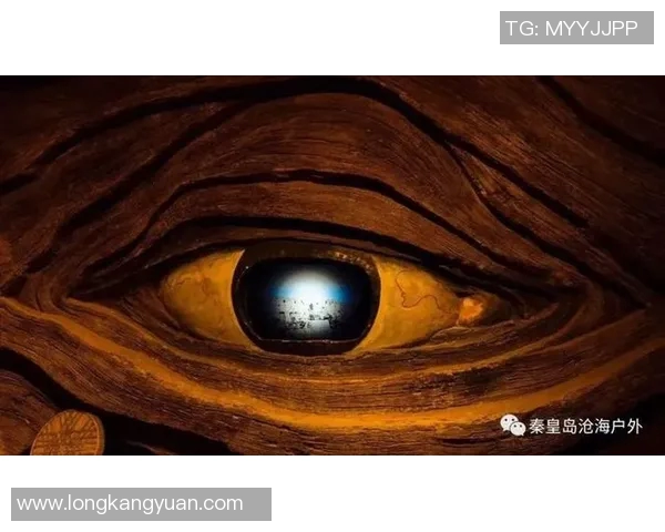 梦想与银星的交汇点：2017年追寻与成就的故事